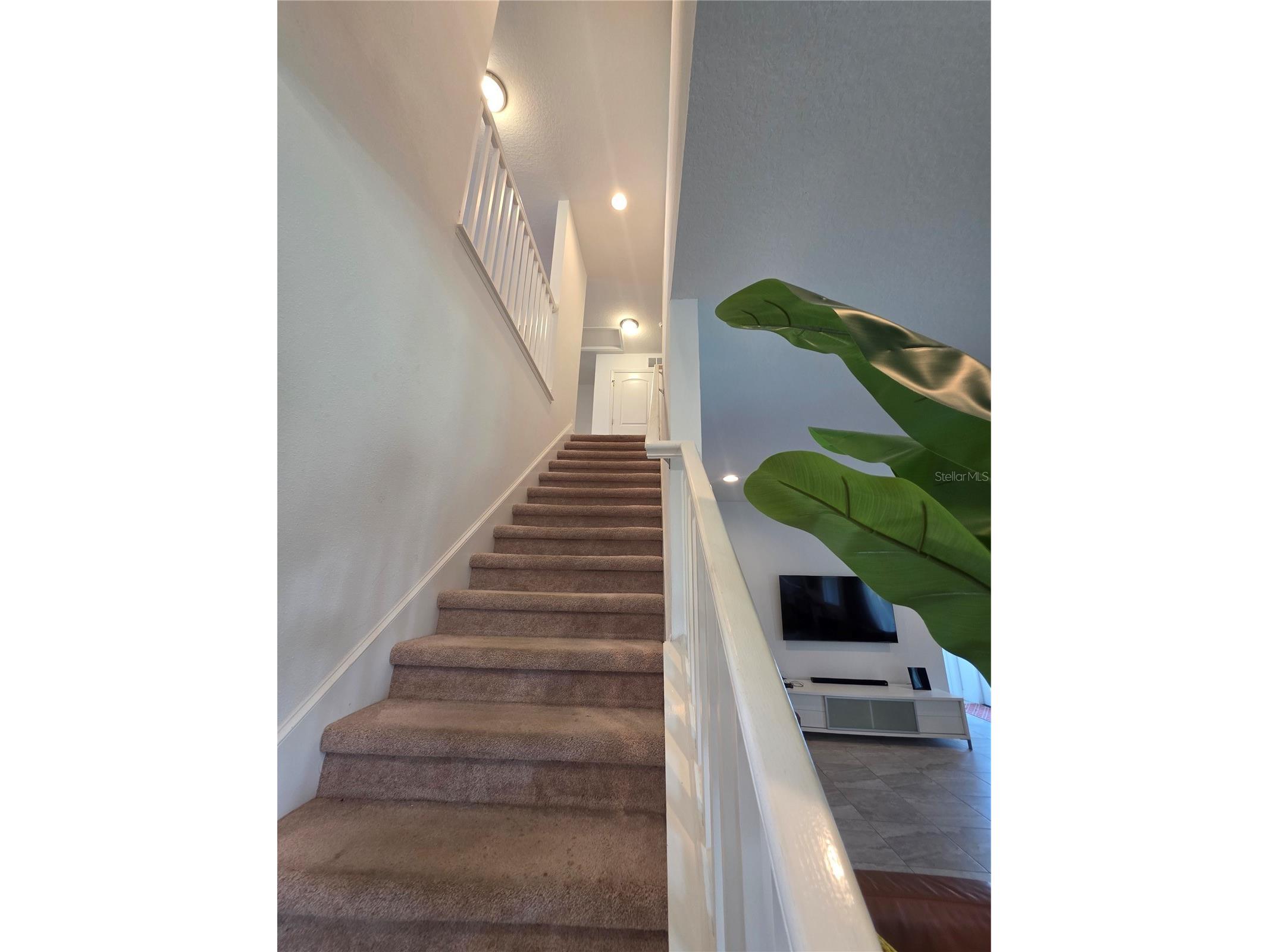 9714 Provencal Avenue Seffner FL 33584 TB8492517 image17