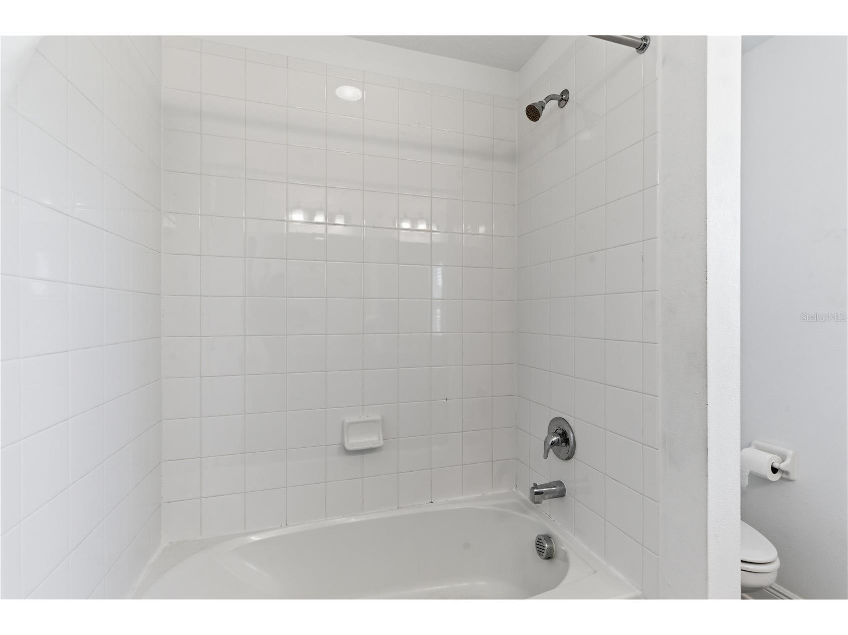9714 Provencal Avenue Seffner FL 33584 TB8492517 image48