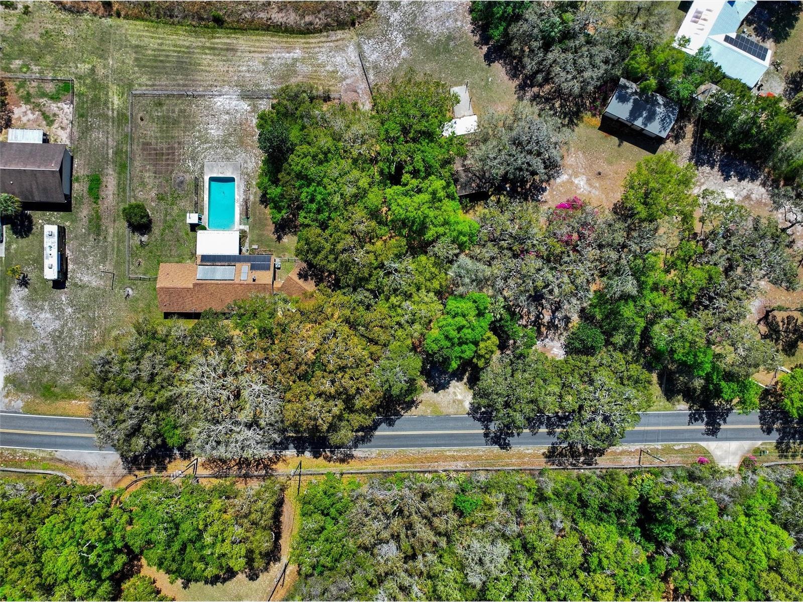 9714 SE 110th St Rd Belleview FL 34420 OM721154 image45