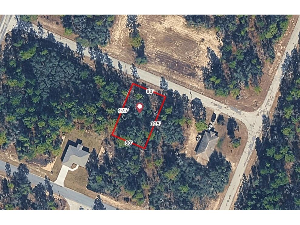 9714 W Calla Lily Drive Dunnellon FL 34433 O6366048 image1