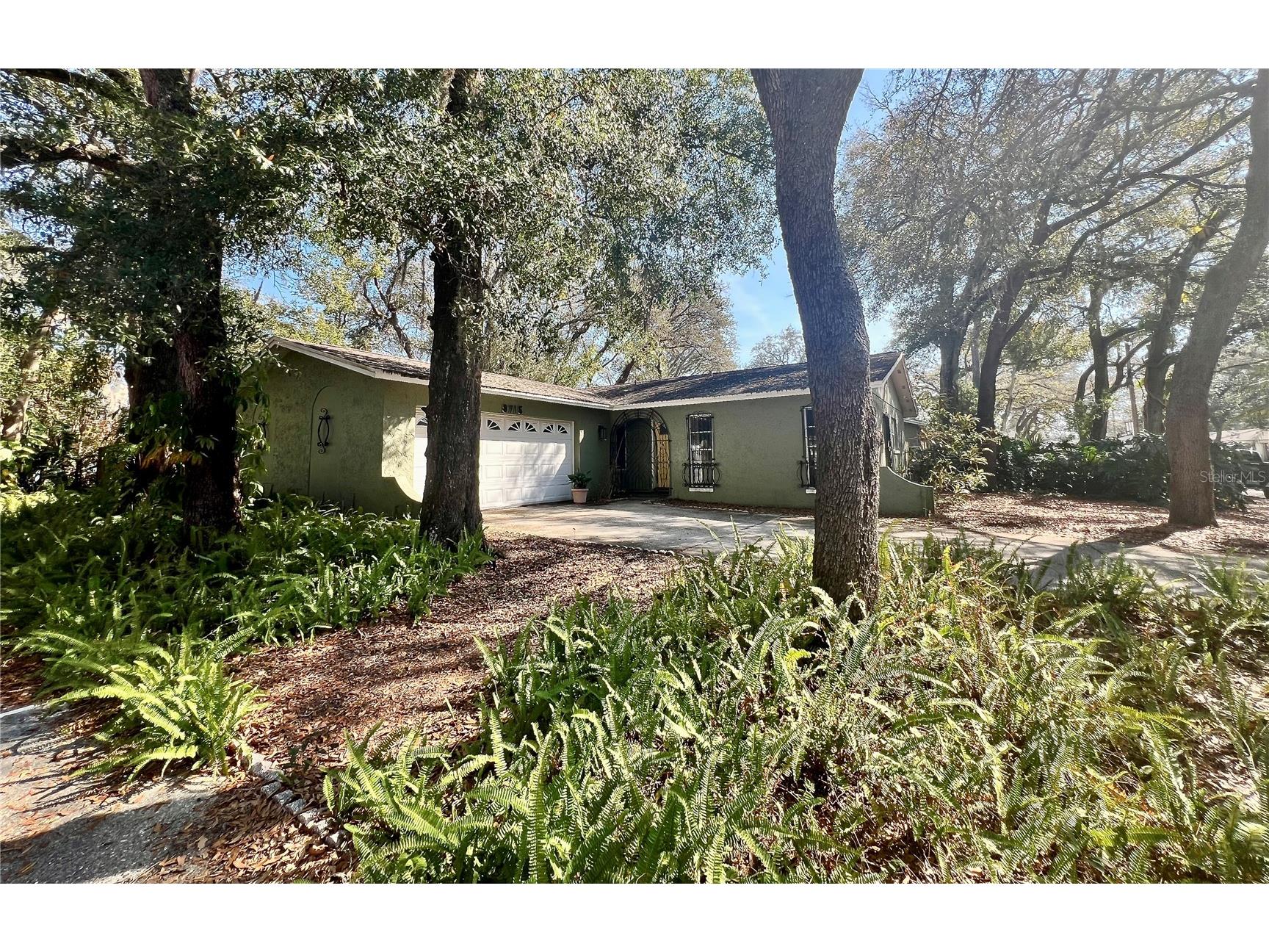 9715 Hidden Oaks Circle Tampa FL 33612 TB8469457 image1