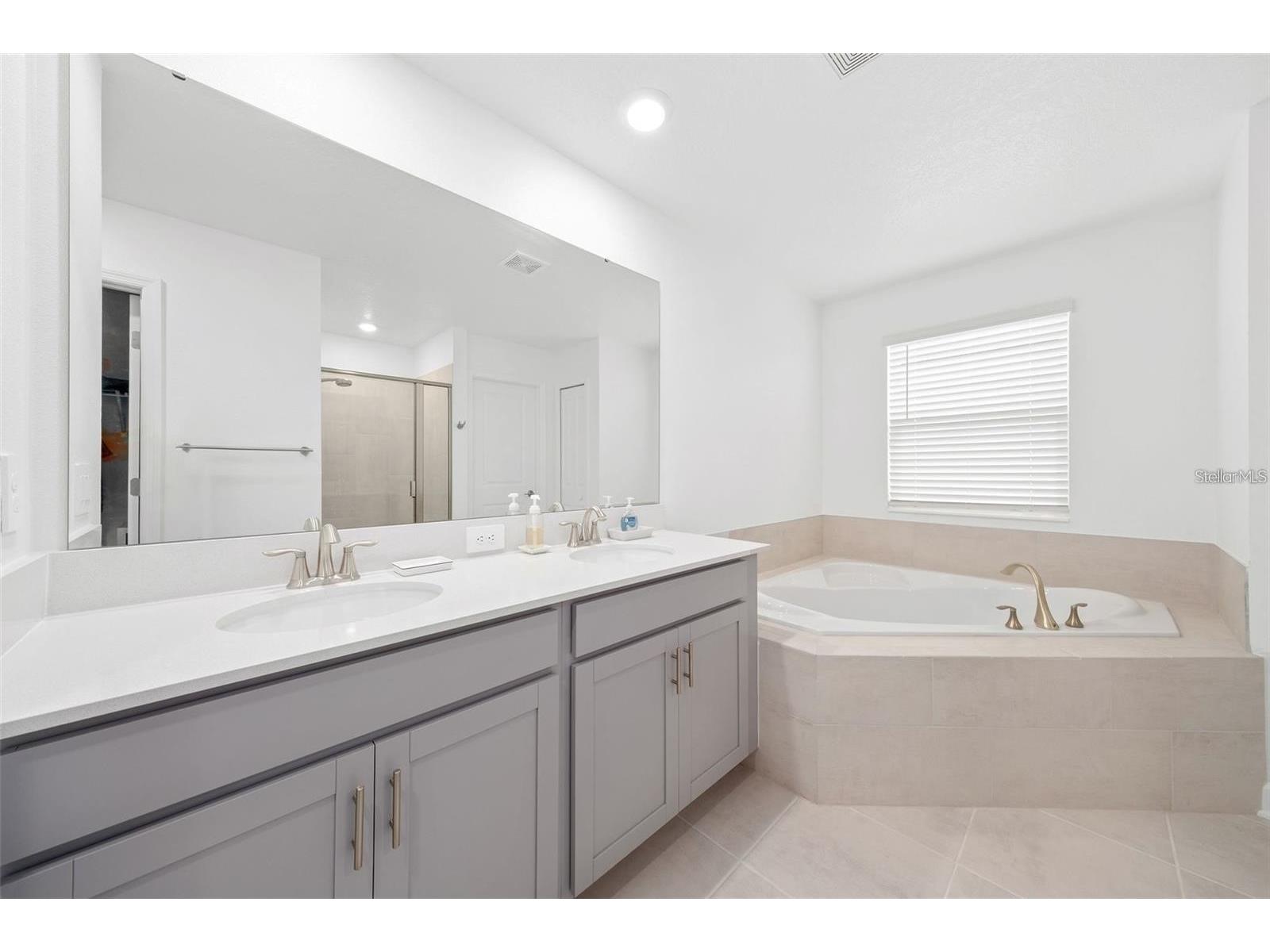 9715 Introduction Way Orlando FL 32832 R4911125 image16