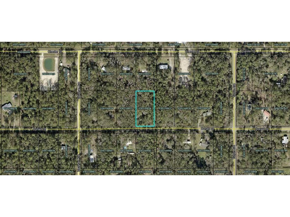 9715 Underwood Avenue Hastings FL 32145 A4588683 image1