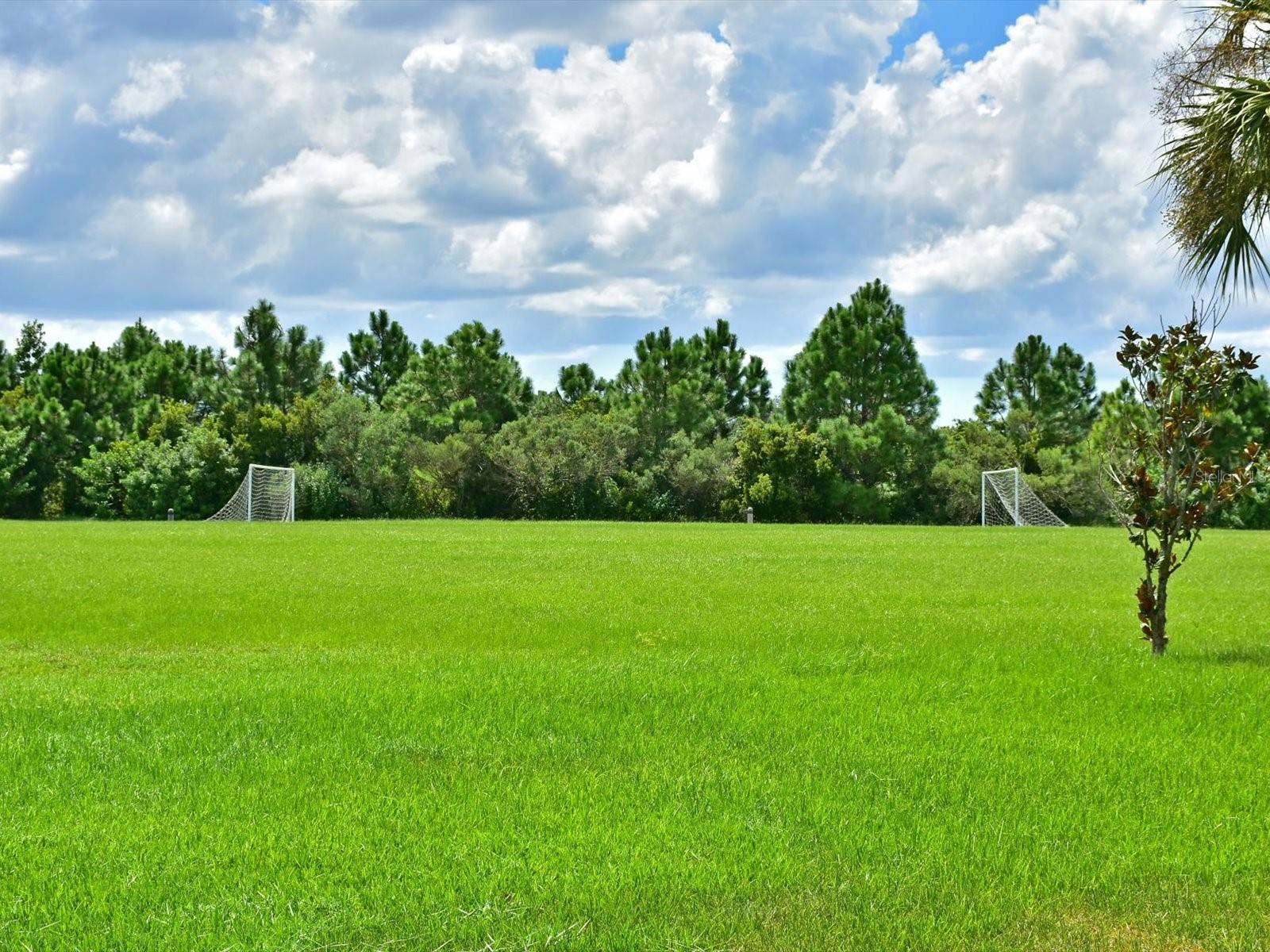 9716 58th Street E Parrish FL 34219 A4658081 image56