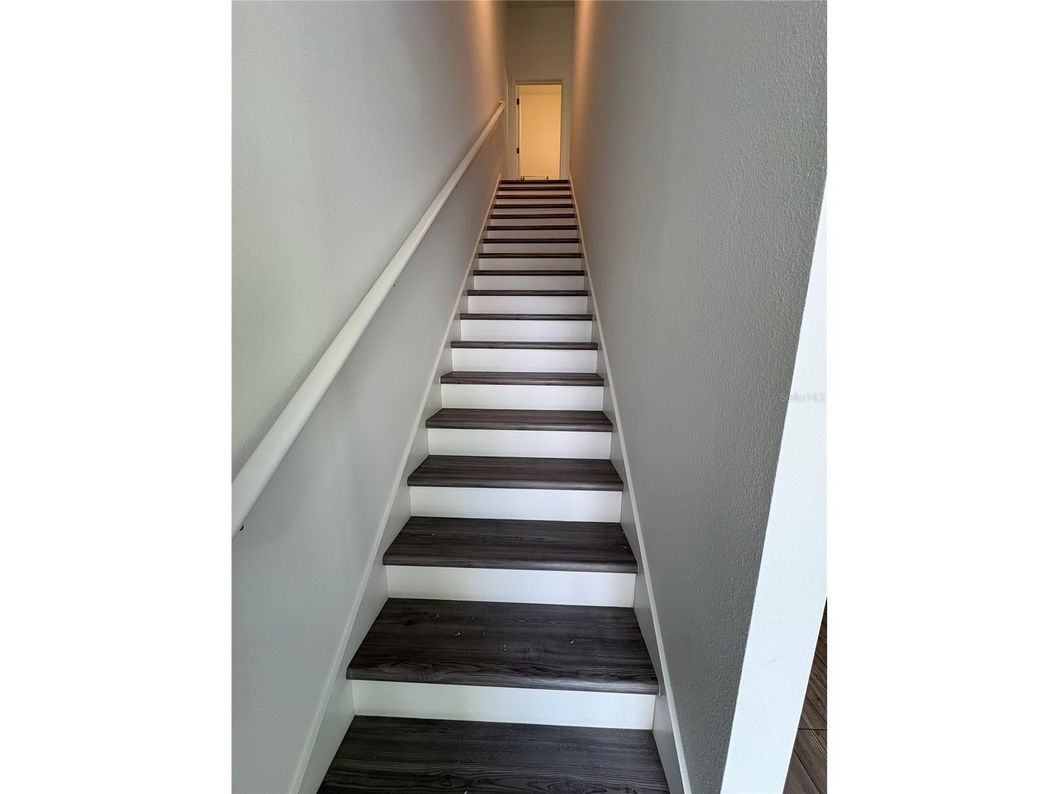 9716 Tate Lane Westchase FL 33626 TB8469389 image13