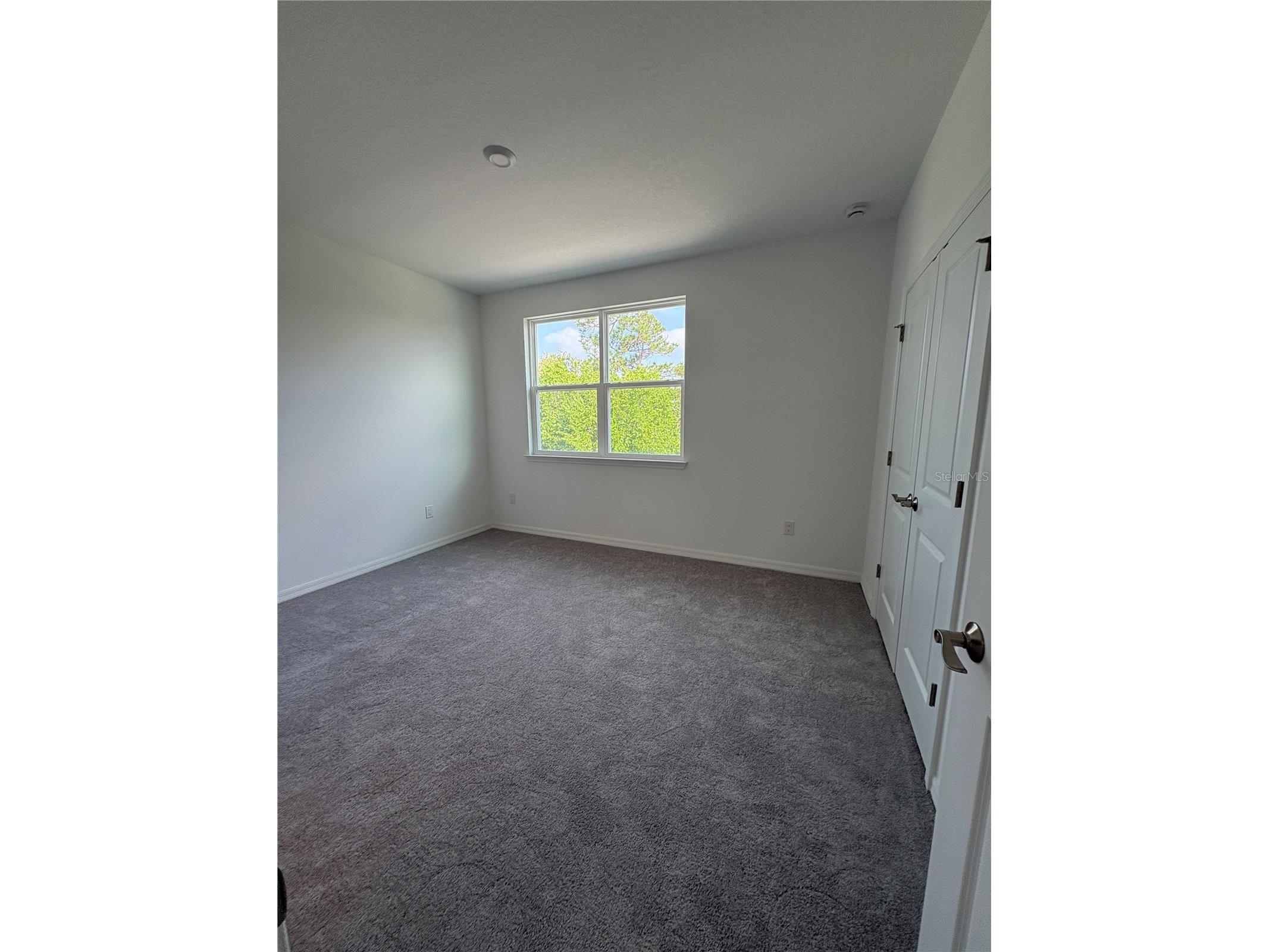 9716 Tate Lane Westchase FL 33626 TB8469389 image14