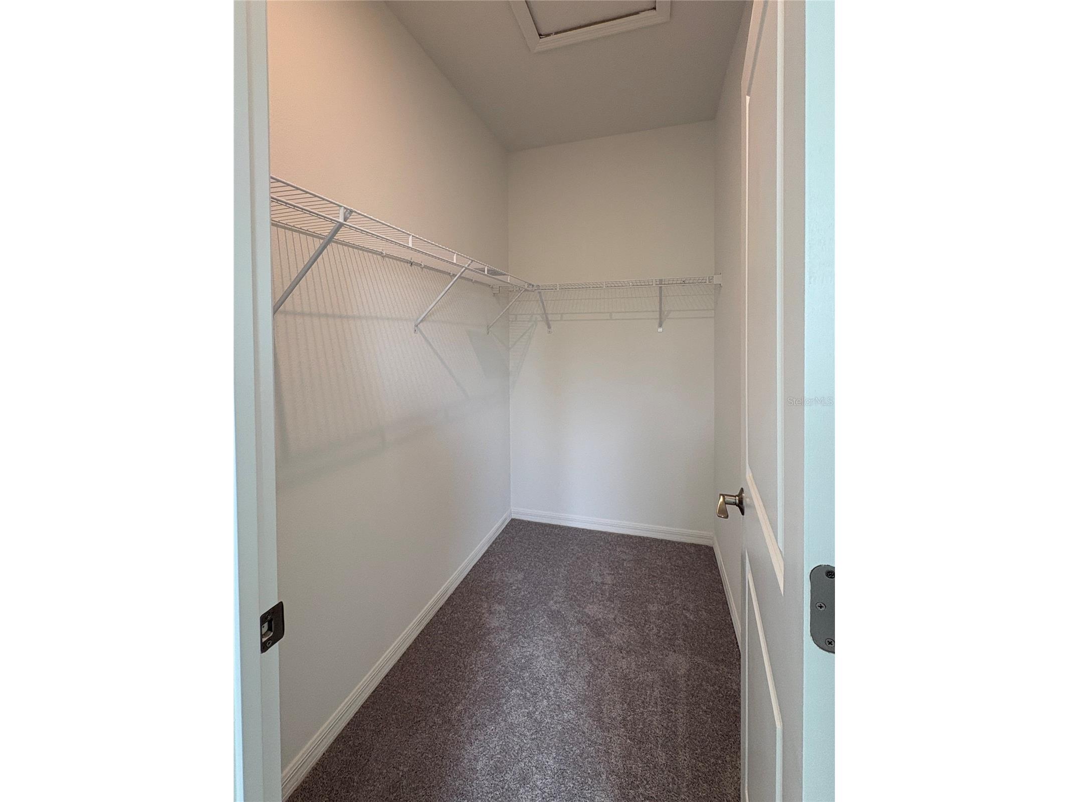 9716 Tate Lane Westchase FL 33626 TB8469389 image21