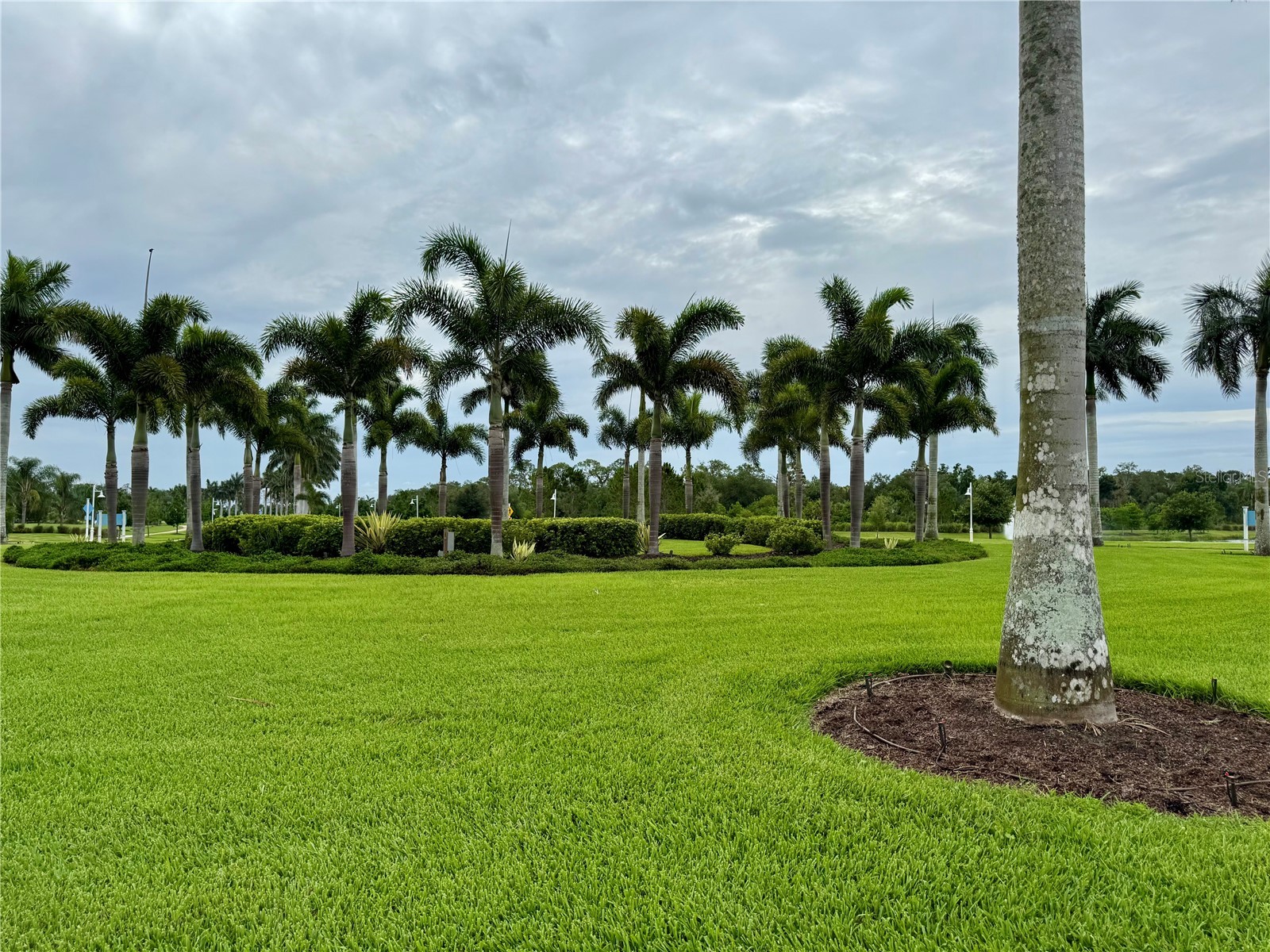 9718 Crystal Isles Circle Sarasota FL 34241 A4695794 image24