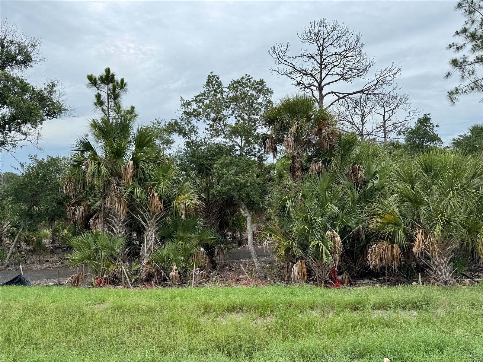 9718 Crystal Isles Circle Sarasota FL 34241 A4695794 image28