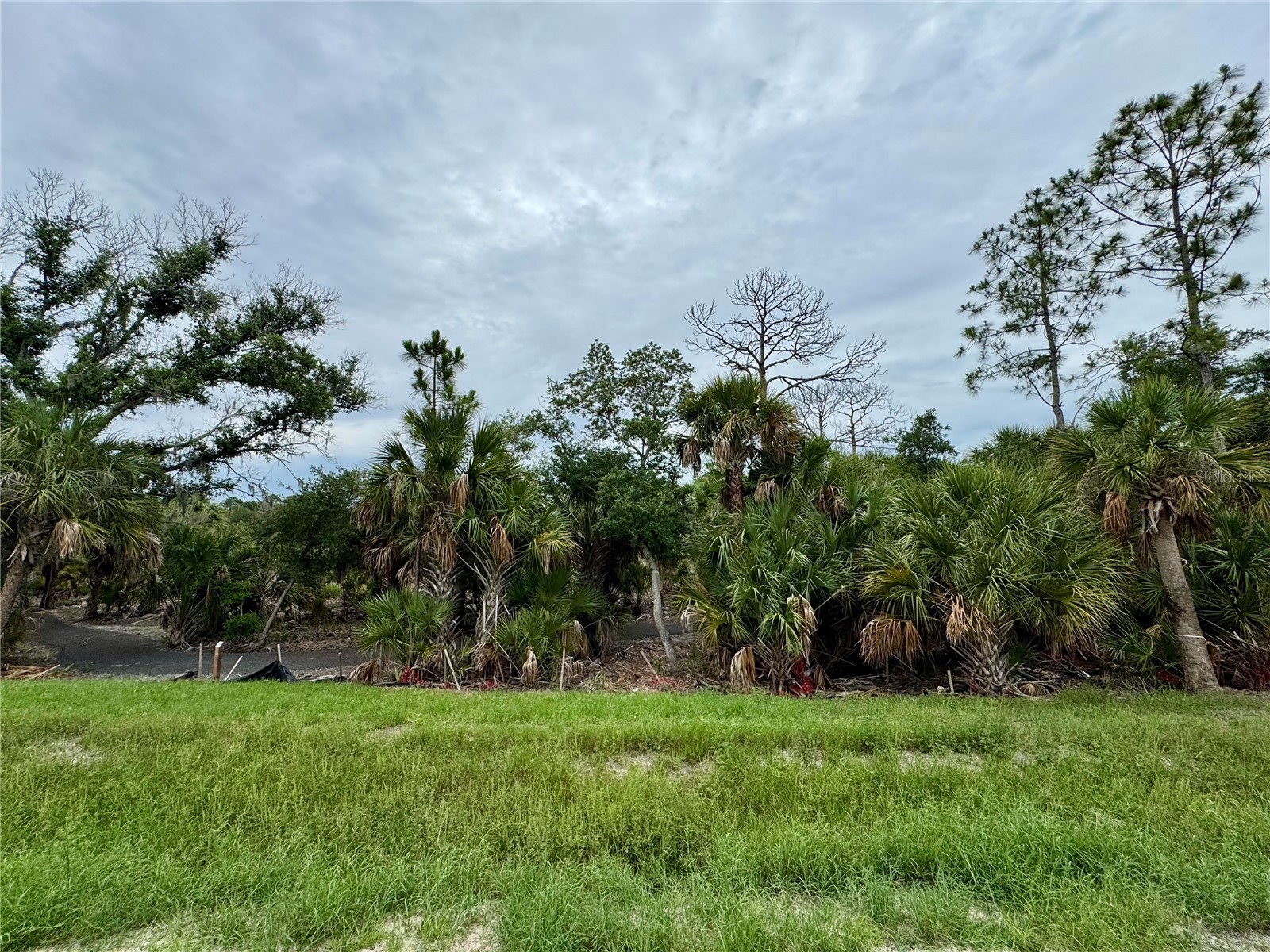 9718 Crystal Isles Circle Sarasota FL 34241 A4695794 image3