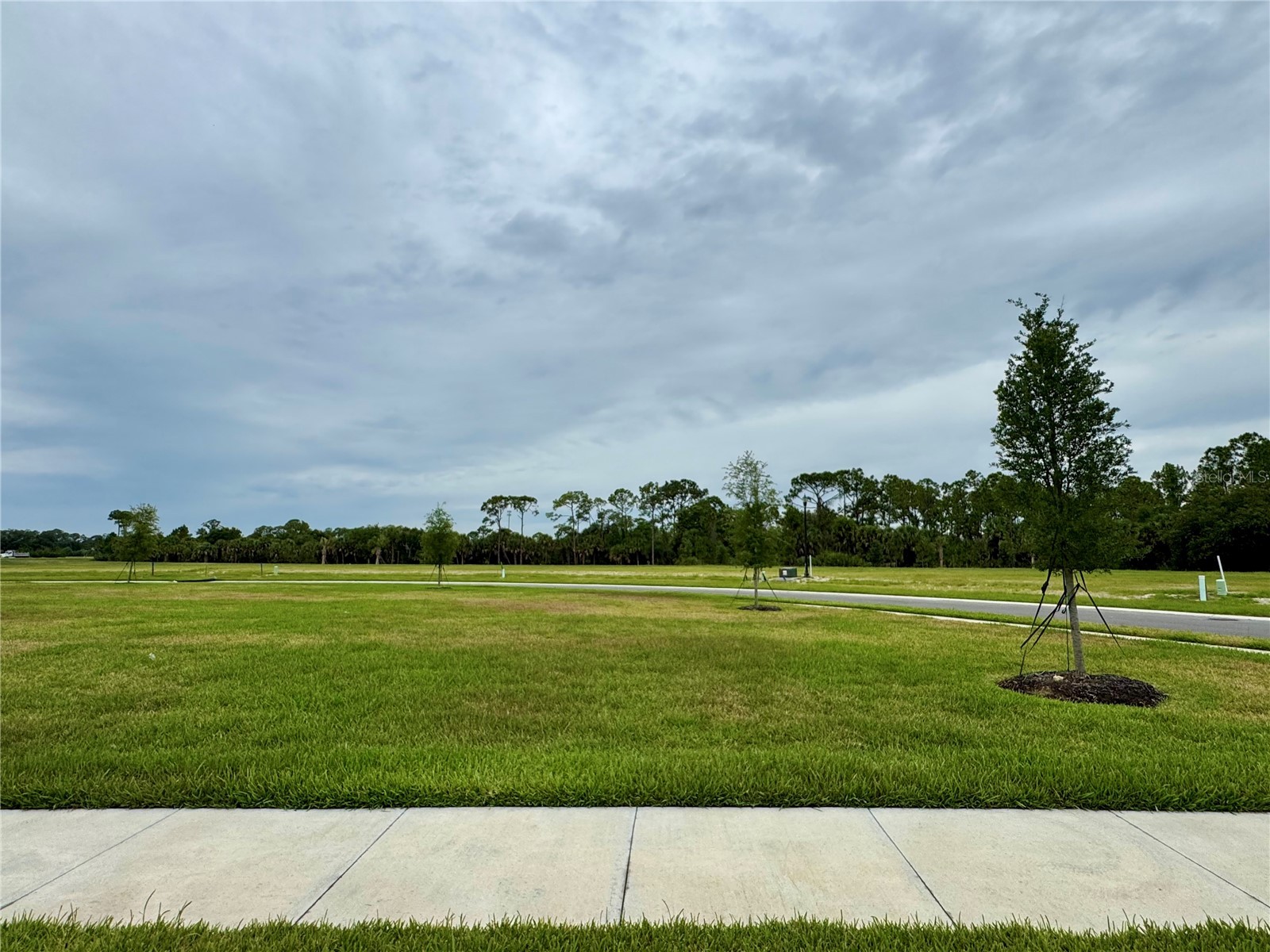 9718 Crystal Isles Circle Sarasota FL 34241 A4695794 image6