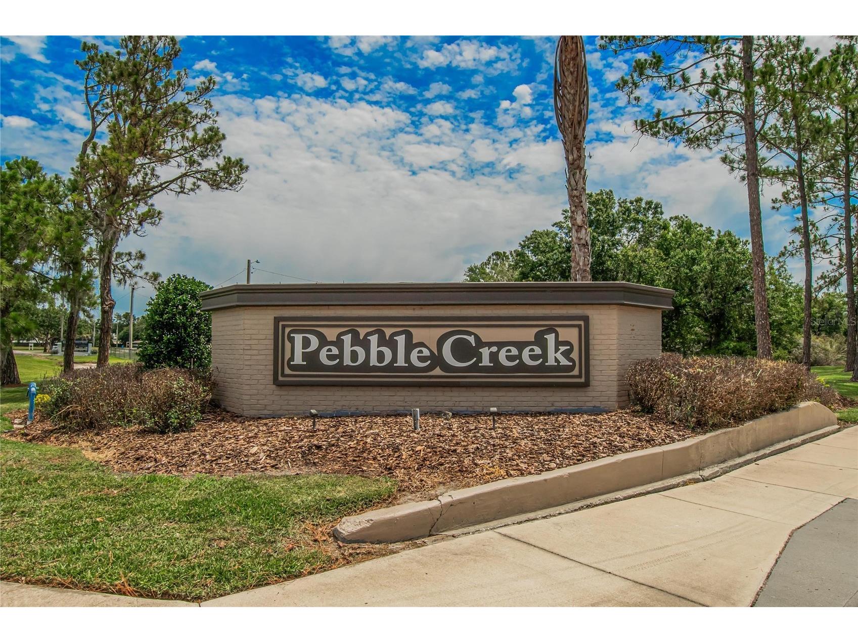 9718 Fox Hollow Road Tampa FL 33647 TB8516748 image53