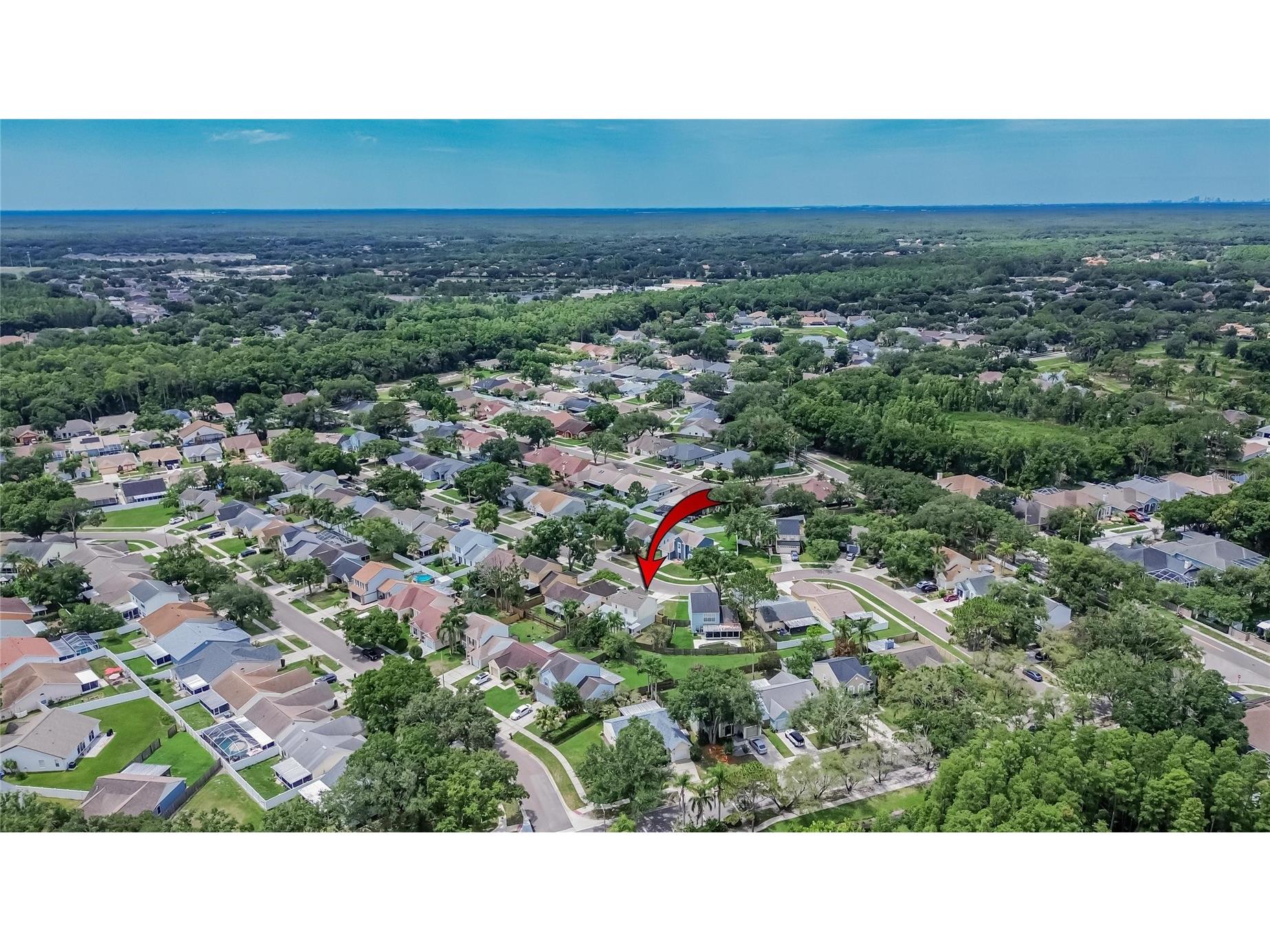 9718 Fox Hollow Road Tampa FL 33647 TB8516748 image62