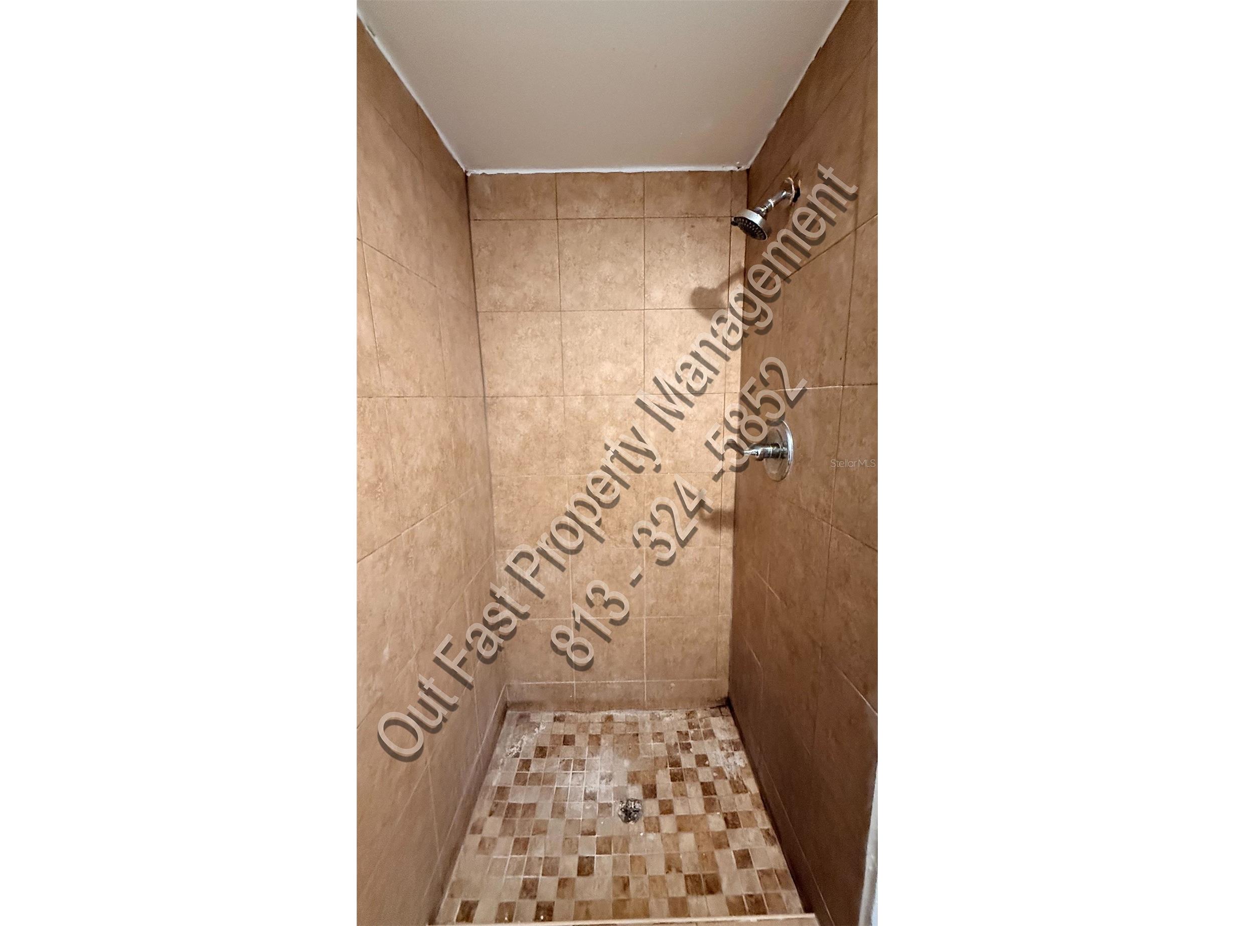 9718 N Nebraska Avenue #8 Tampa FL 33612 TB8514423 image6