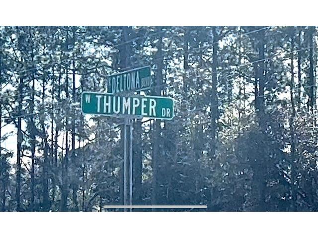 9719 N Deltona Boulevard Citrus Springs FL 34434 U8189134 image12