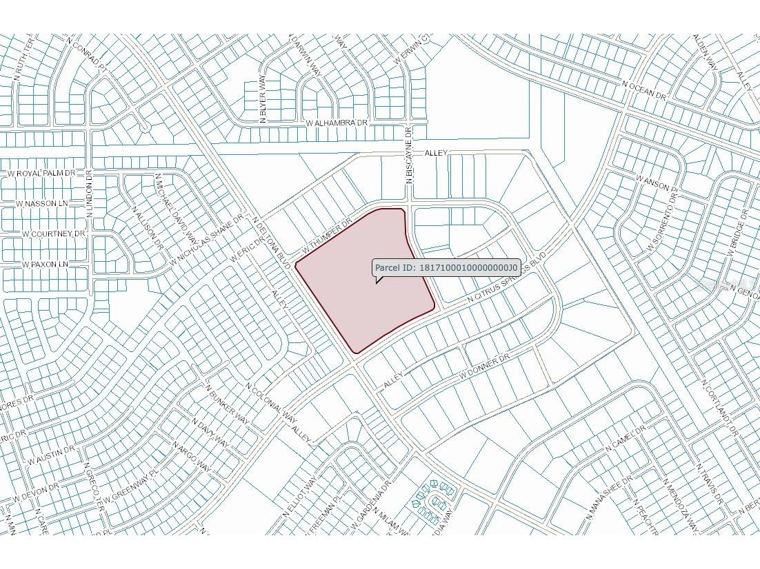 9719 N Deltona Boulevard Citrus Springs FL 34434 U8189134 image15