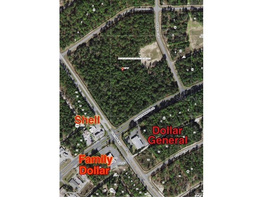 9719 N Deltona Boulevard Citrus Springs FL 34434 U8189134 image16