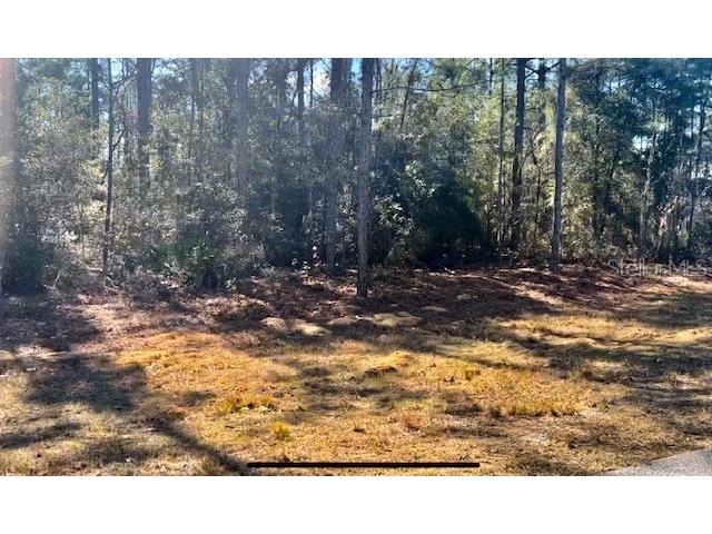 9719 N Deltona Boulevard Citrus Springs FL 34434 U8189134 image3