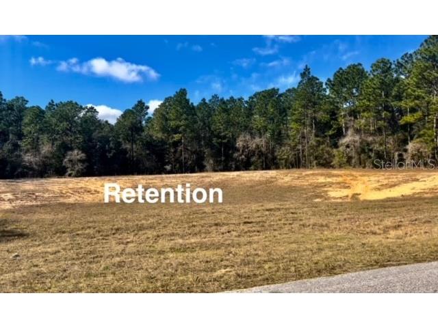 9719 N Deltona Boulevard Citrus Springs FL 34434 U8189134 image8