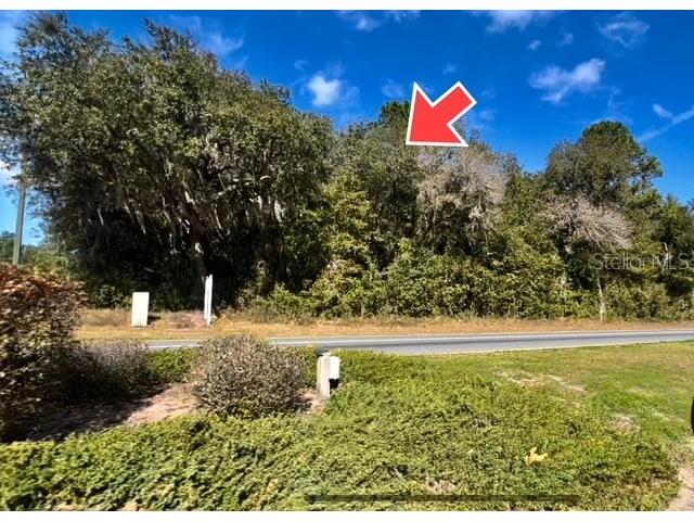 9719 N Deltona Boulevard Citrus Springs FL 34434 U8189134 image9