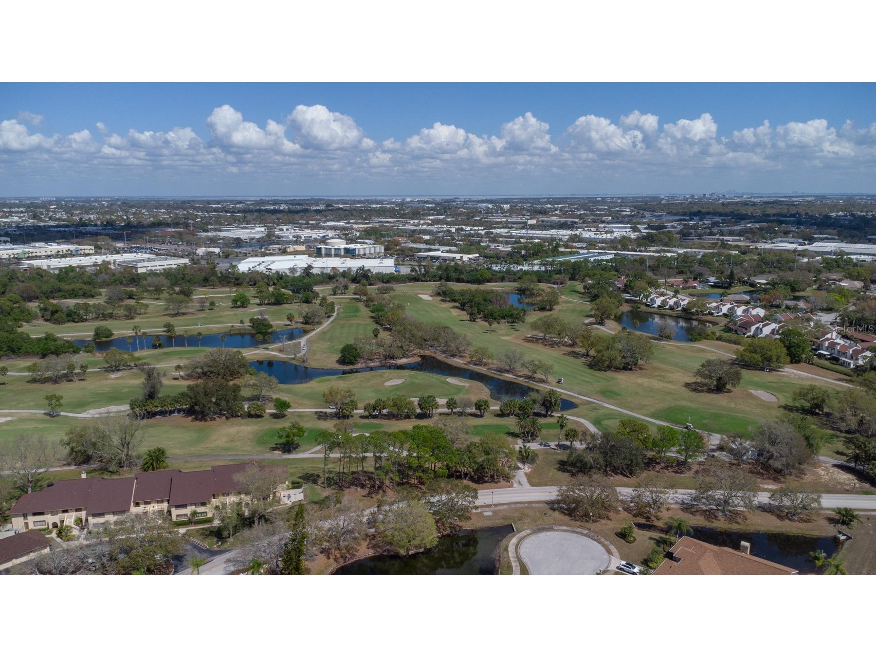 9719 Taylor Rose Lane Seminole FL 33777 TB8483939 image45