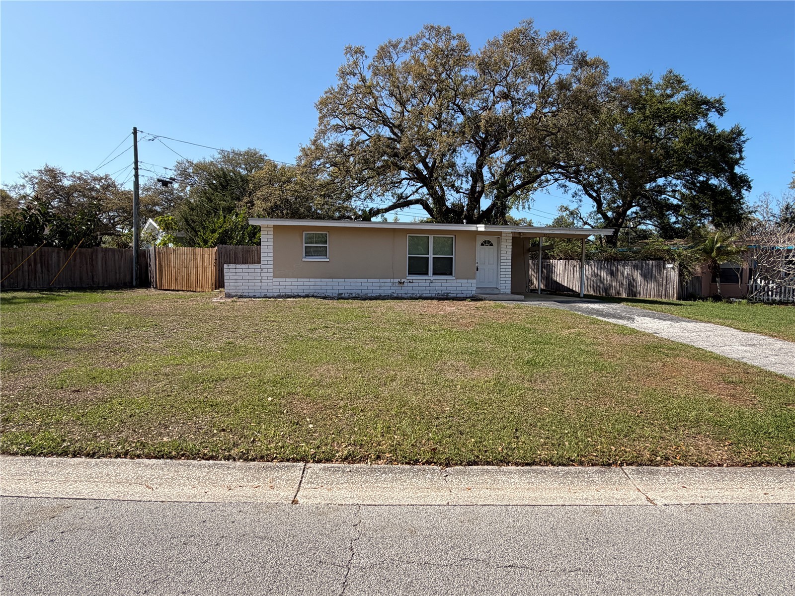972 Cedarwood Avenue Dunedin FL 34698 TB8487041 image1