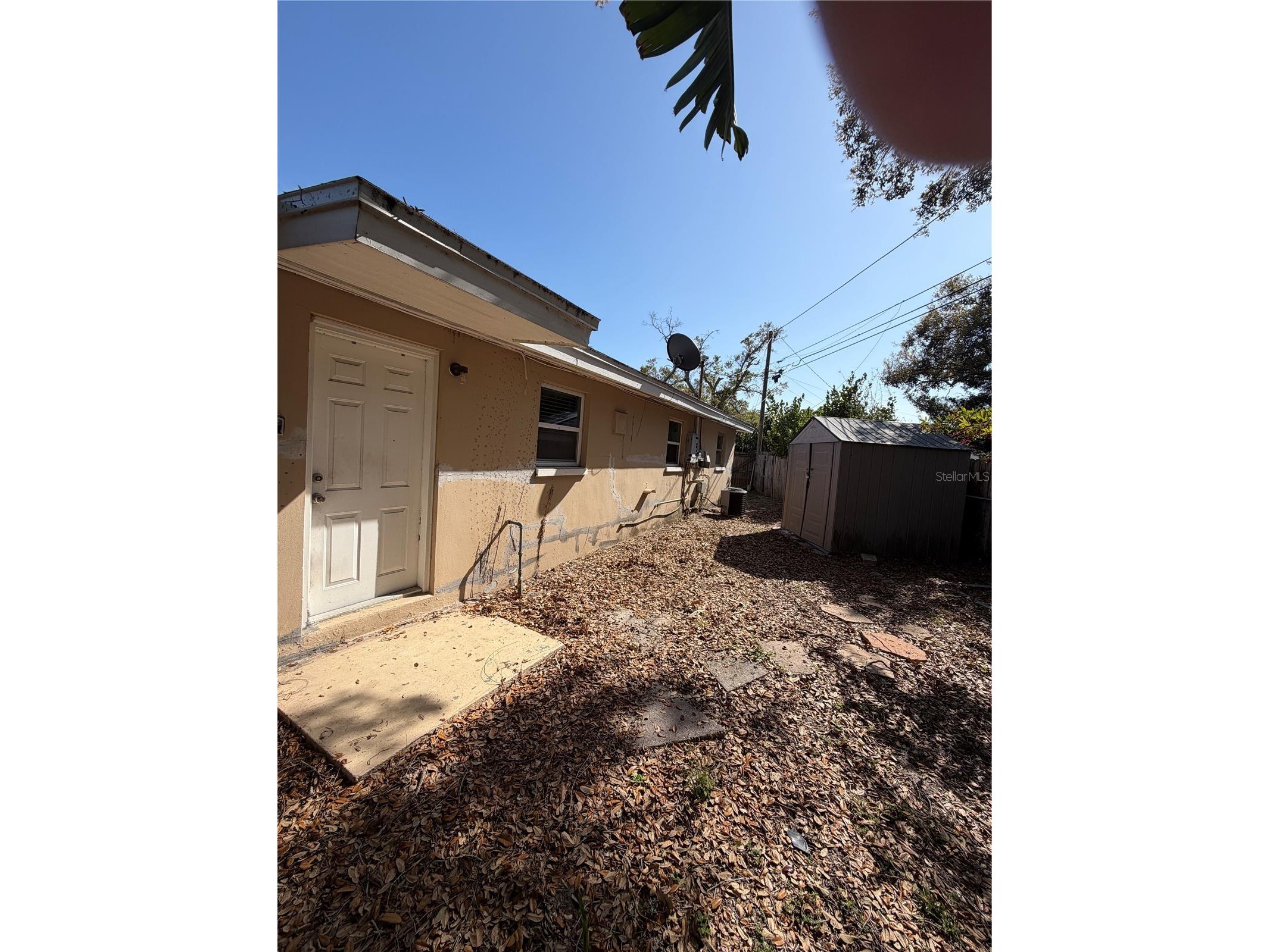 972 Cedarwood Avenue Dunedin FL 34698 TB8487041 image9