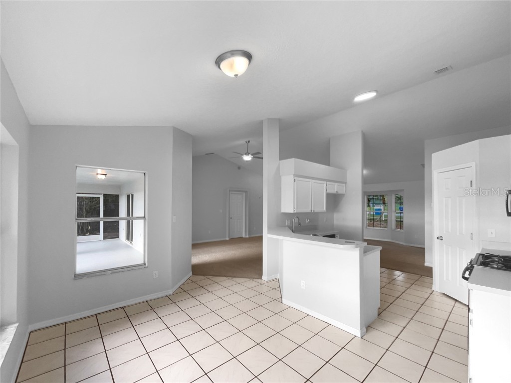 972 Forest Hill Drive Minneola FL 34715 O6340886 image20