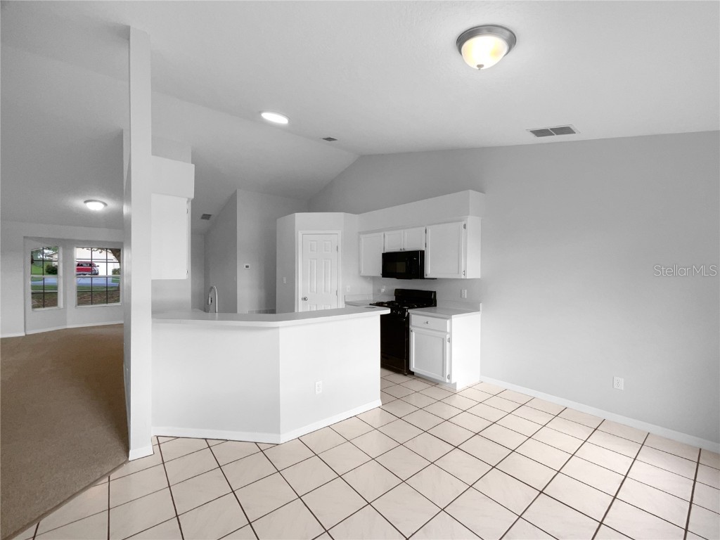 972 Forest Hill Drive Minneola FL 34715 O6340886 image21