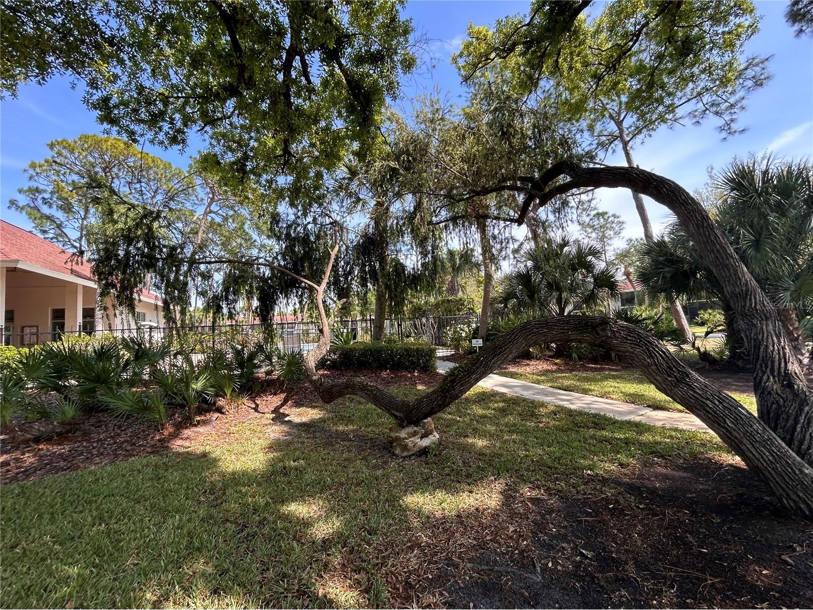 972 La Costa Circle #3 Sarasota FL 34237 A4691419 image28