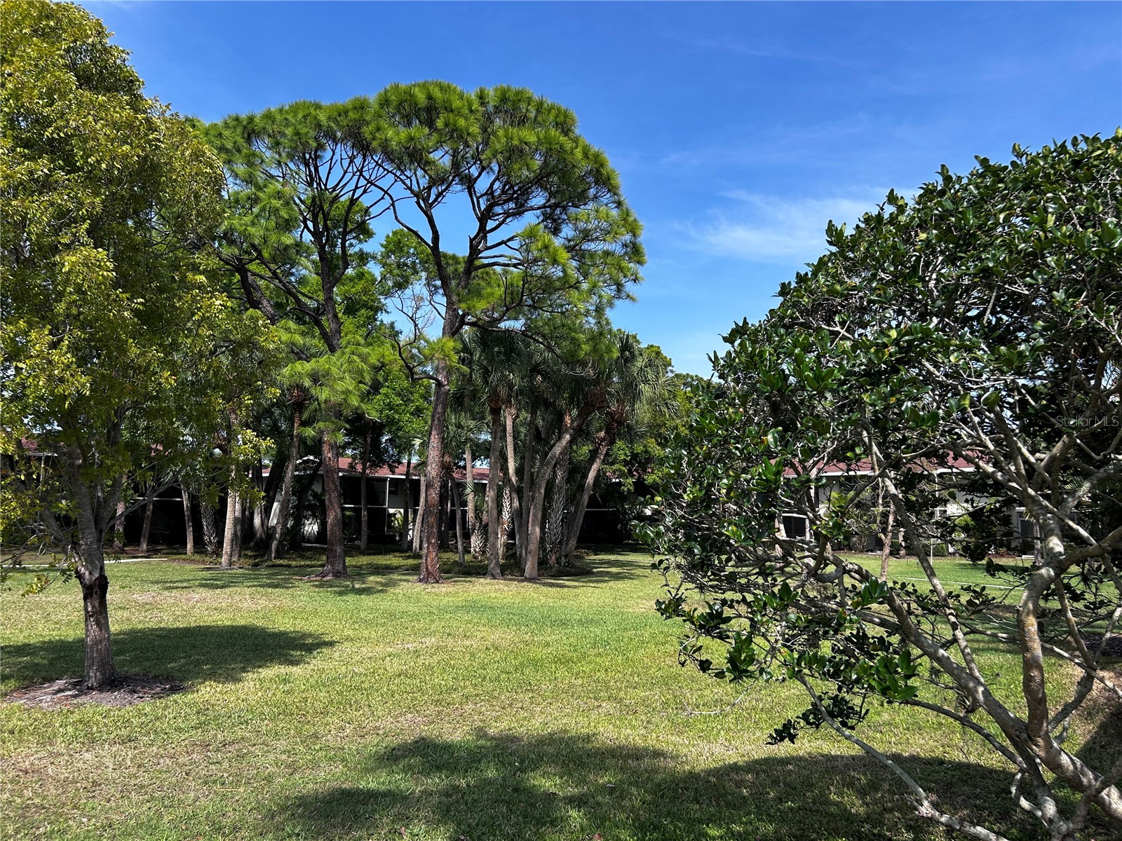 972 La Costa Circle #3 Sarasota FL 34237 A4691419 image41