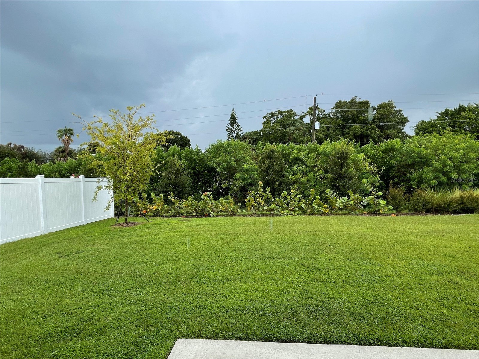 972 Ocean Spray Drive Ruskin FL 33570 TB8506960 image27
