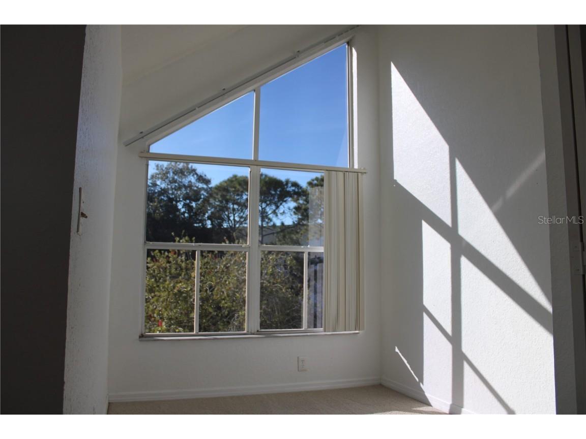 9720 Indian Key Trail #117 Seminole FL 33776 U8222407 image41