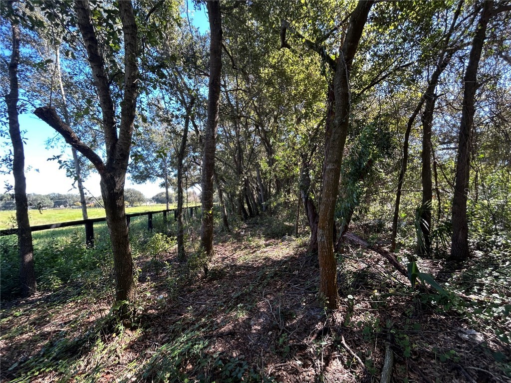 9720 N Road 33 Polk City FL 33868 L4956627 image19