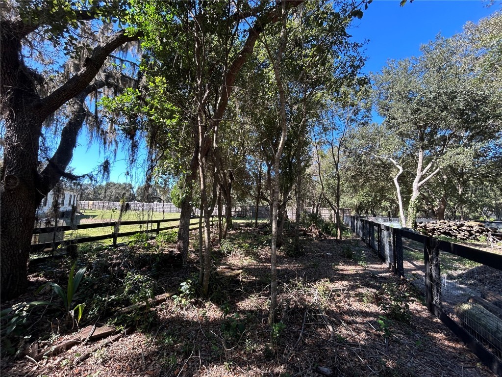 9720 N Road 33 Polk City FL 33868 L4956627 image21