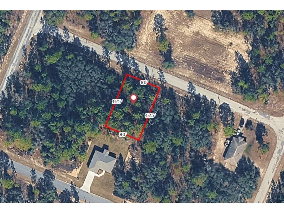 9720 W Calla Lily Drive Dunnellon FL 34433 O6366047 image1