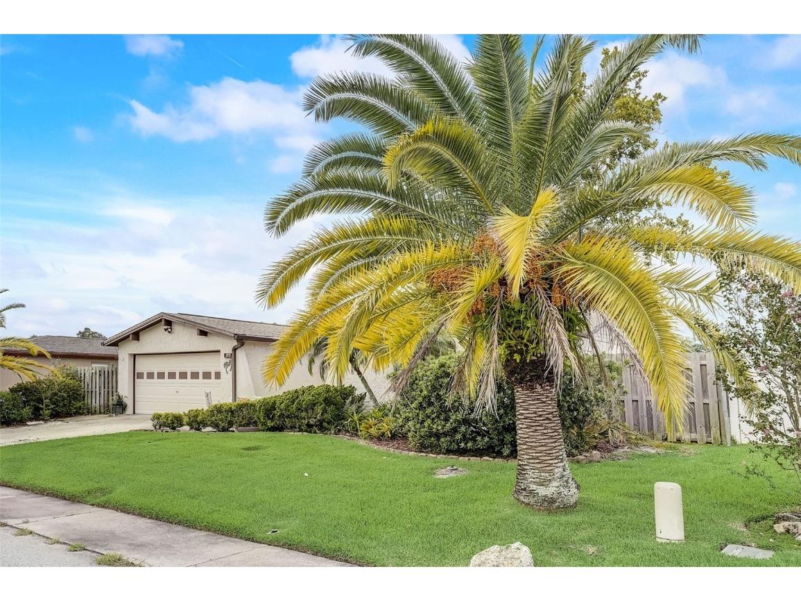 9721 Lakeside Lane Port Richey FL 34668 - LAKE CHRISTINA T3460395 image1