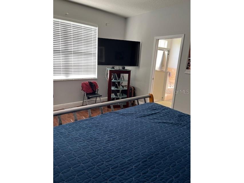 9721 Old Patina Way Orlando FL 32832 S5145578 image20
