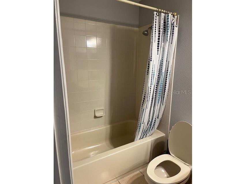 9721 Old Patina Way Orlando FL 32832 S5145578 image27