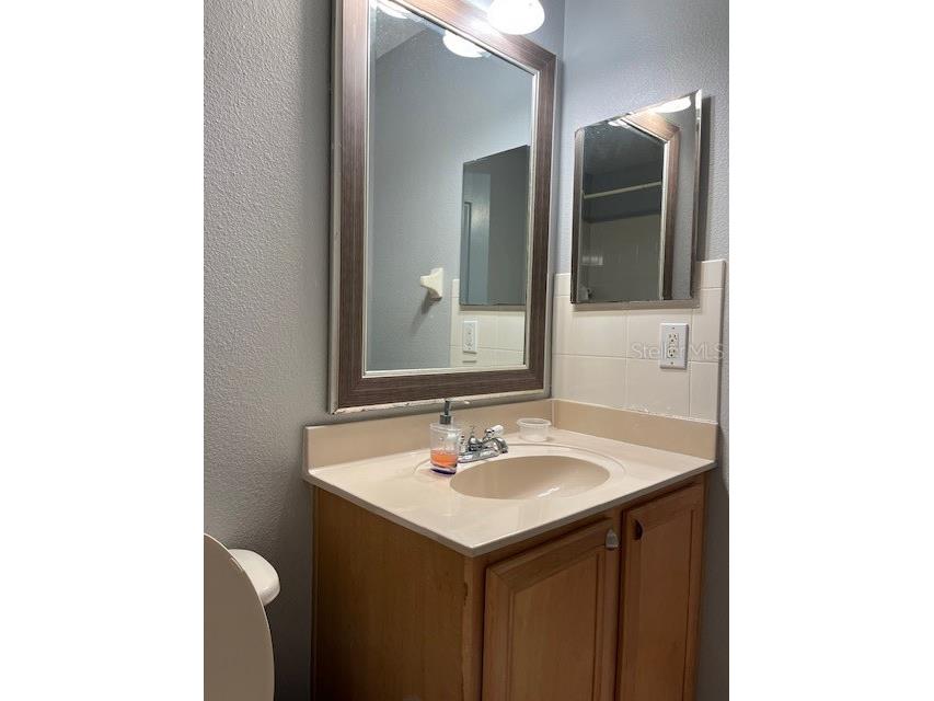 9721 Old Patina Way Orlando FL 32832 S5145578 image28