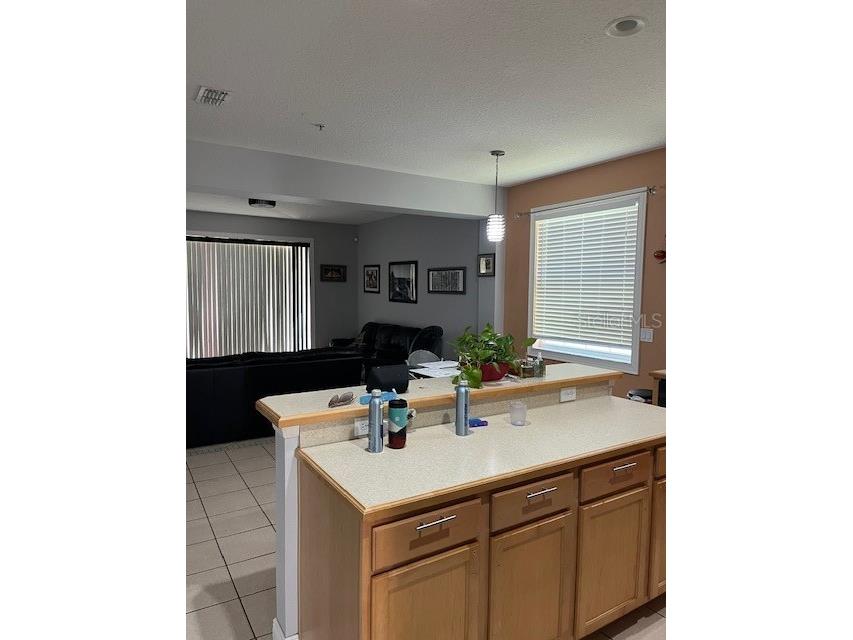 9721 Old Patina Way Orlando FL 32832 S5145578 image38