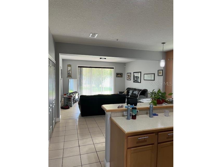 9721 Old Patina Way Orlando FL 32832 S5145578 image39