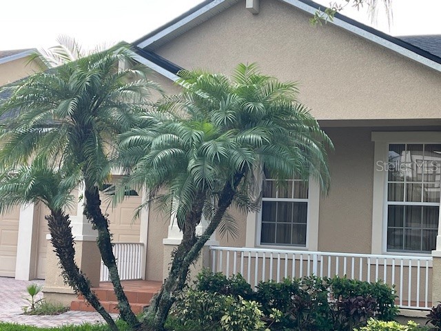 9721 Old Patina Way Orlando FL 32832 S5145578 image4