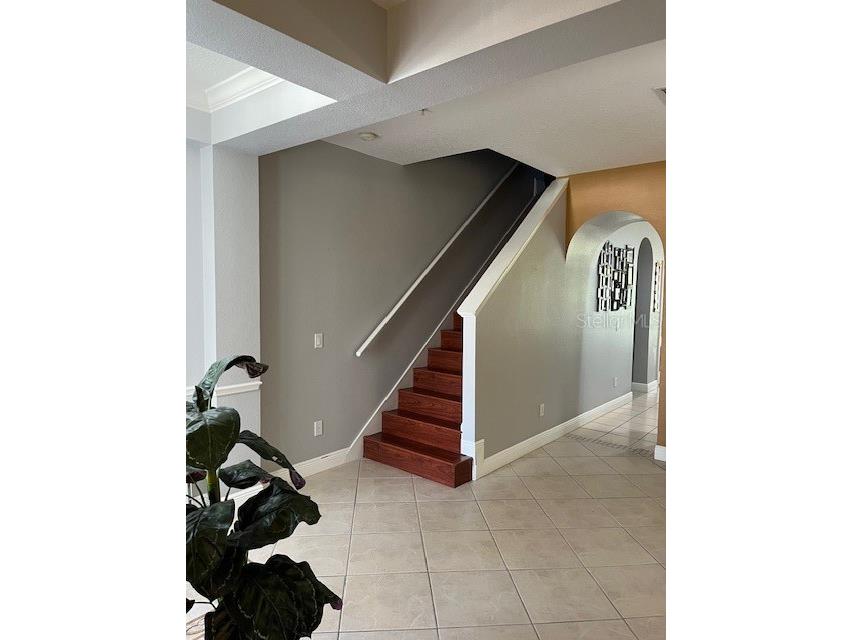 9721 Old Patina Way Orlando FL 32832 S5145578 image42