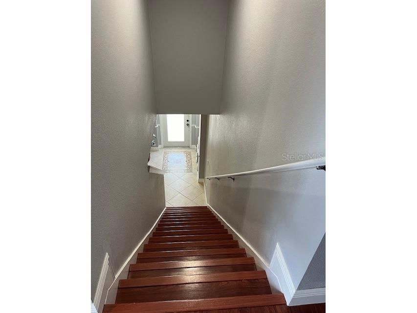 9721 Old Patina Way Orlando FL 32832 S5145578 image51
