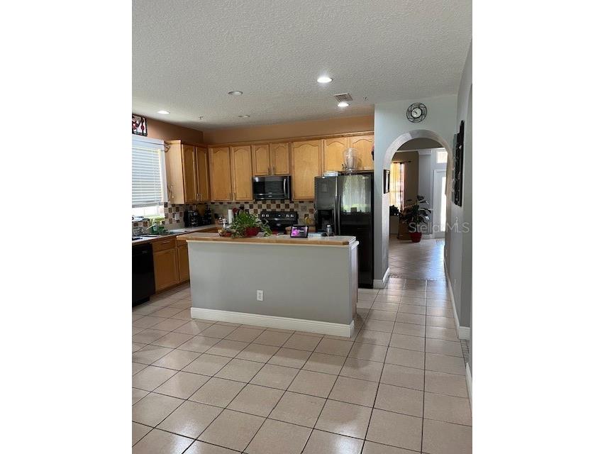 9721 Old Patina Way Orlando FL 32832 S5145578 image56