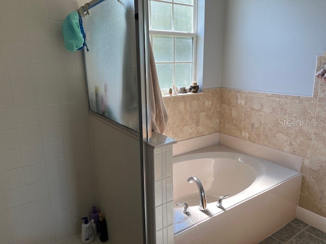 9721 Old Patina Way Orlando FL 32832 S5145578 image60