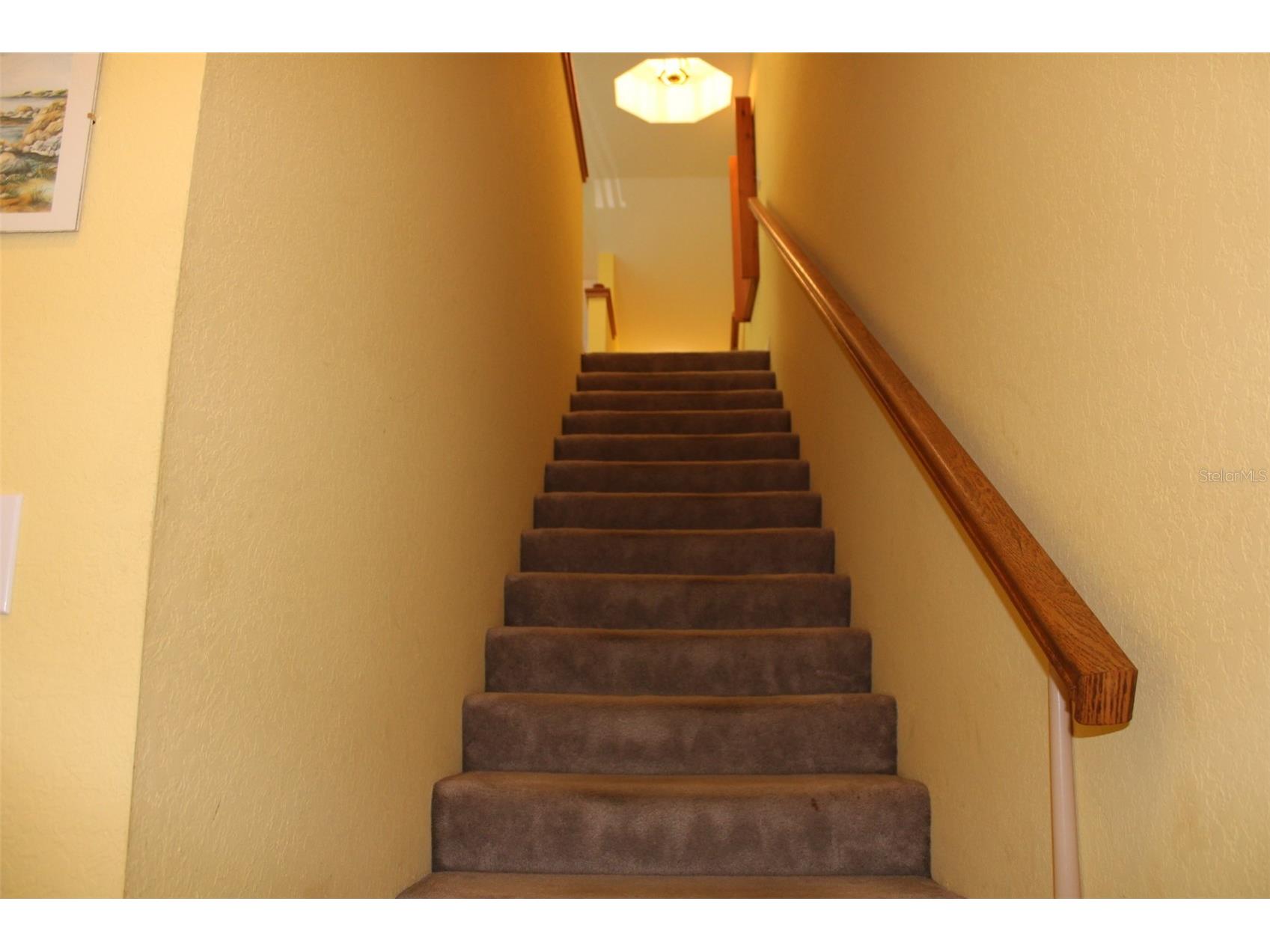 9722 Indian Key Trail #116 Seminole FL 33776 TB8473022 image2