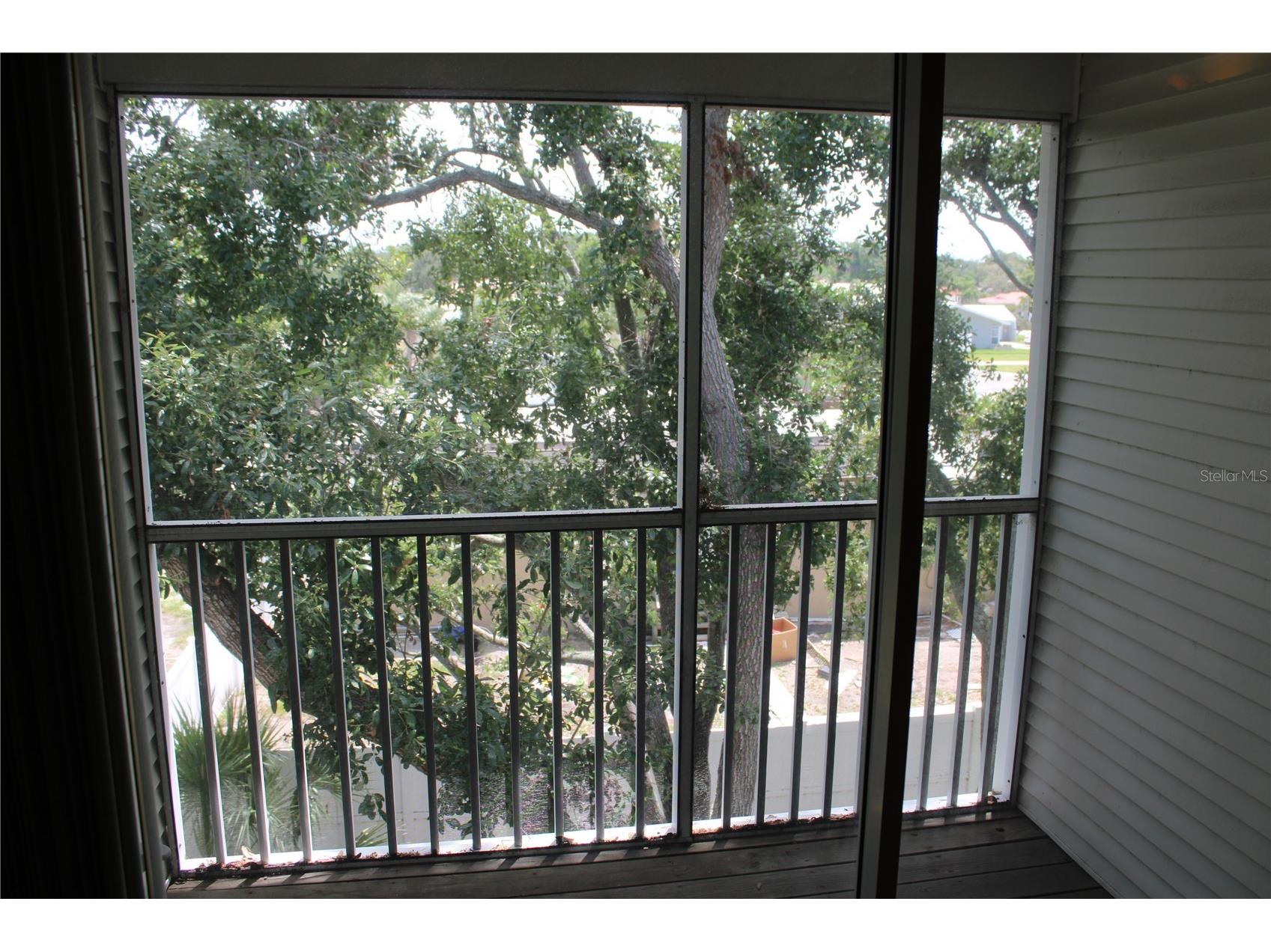 9722 Indian Key Trail #116 Seminole FL 33776 TB8473022 image34