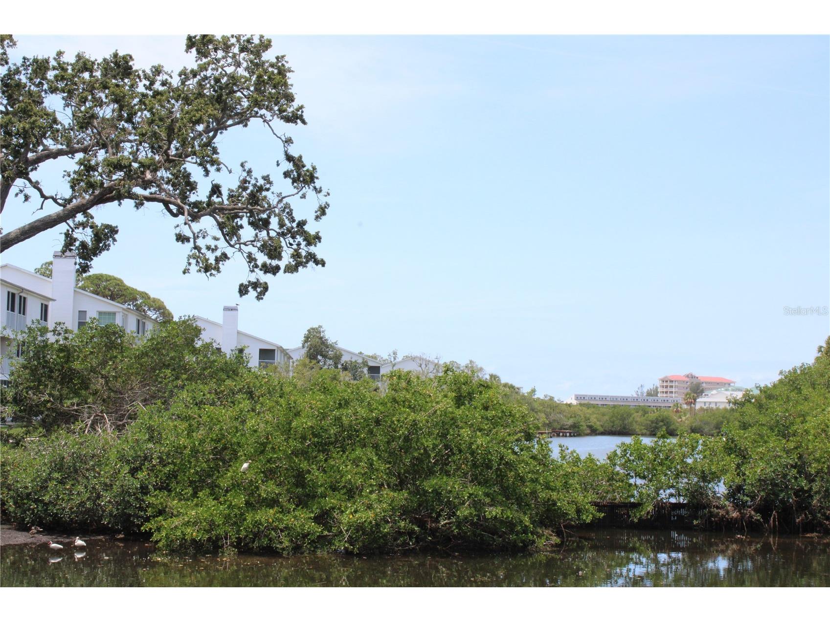 9722 Indian Key Trail #116 Seminole FL 33776 TB8473022 image57